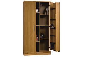 Shelving unit/cabinet assembly (3*7 ft)